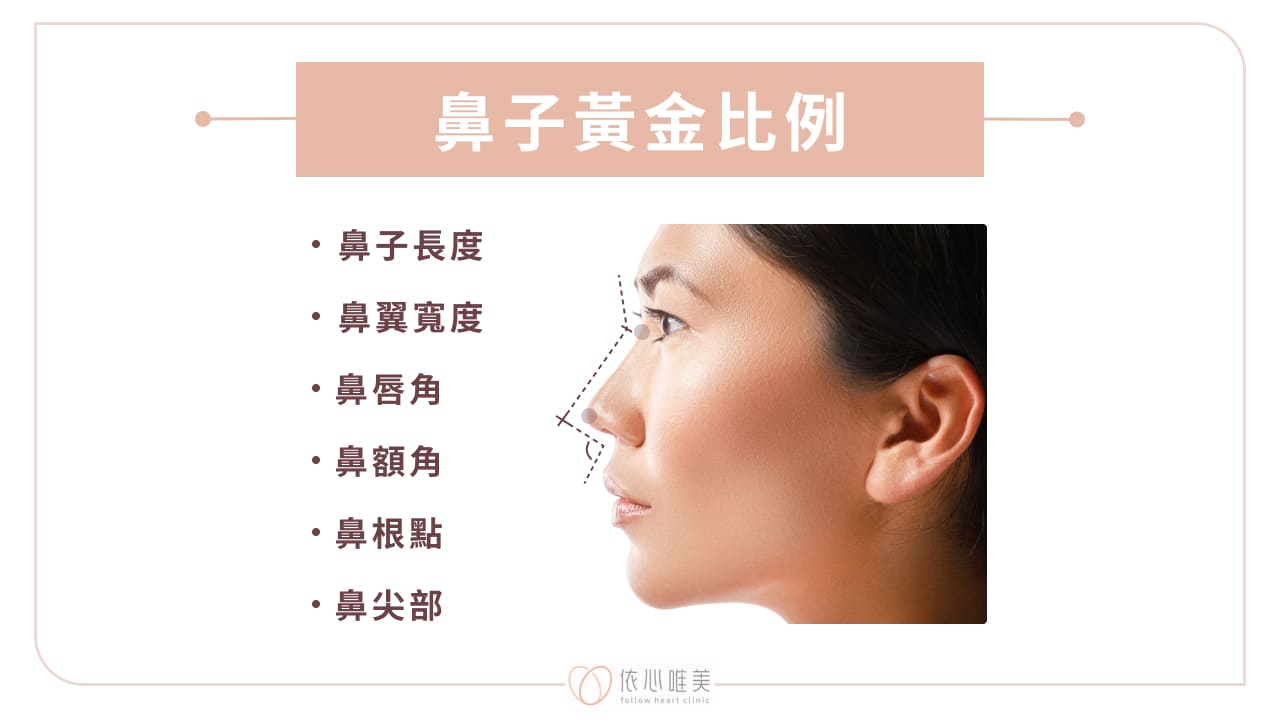 鼻子黃金比例